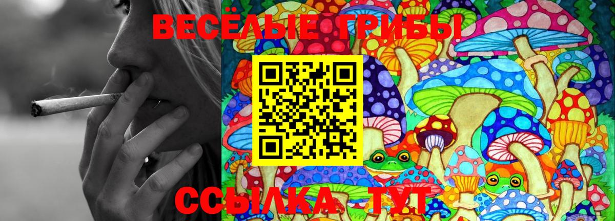 Галлюциногенные грибы MAGIC MUSHROOMS Узловая
